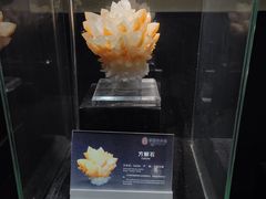 -中华赏石园