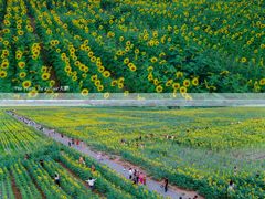 -汉长安城未央宫国家考古遗址公园