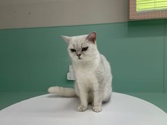 -怪兽屋·羊驼·猫咖·狗咖(俊华广场店)