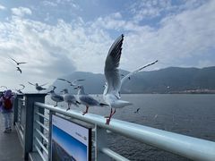 -滇池海埂公园