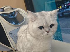 -瑞派康怡24h宠物医院·犬猫医疗中心·微创绝育(瑞景分院)