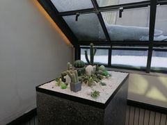 -大树餐厅(红旗街万达店)