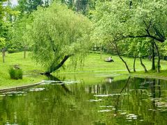 -上海共青森林公园