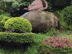 -雁南飞茶田景区