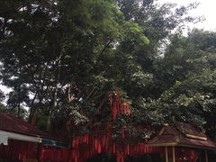 -西双版纳勐泐文化旅游区