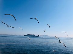 -大连海昌东方水城