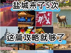 -盐城丹顶鹤湿地生态旅游区