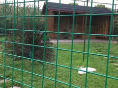 -浙江越秀外国语学院