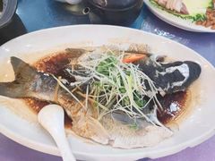 清蒸吊水鲩鱼-金厨坊(钻石城店)