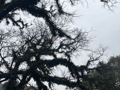 -桂林独秀峰王城景区