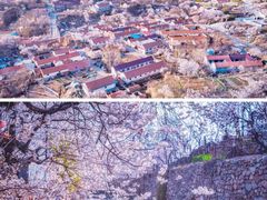 -崂山九水游览区