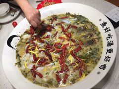 招牌老坛酸菜鱼-江渔儿酸菜鱼·拔草餐厅(虎门君乐汇店)