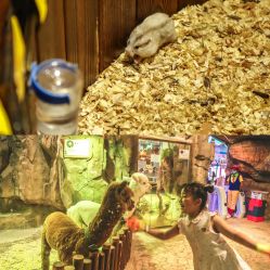 -宝燕乐园(闵行旗舰店)