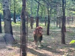 -秦皇岛野生动物园