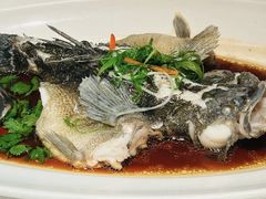 -上海小南国(正大店)