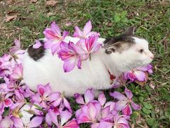 -火炉山森林公园