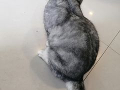 -平行世界·猫咖(首经贸店)