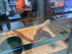 -三旗百汇商品城