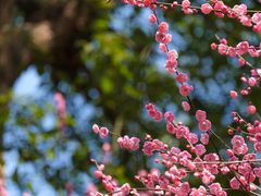 -宁波市保国寺古建筑博物馆