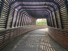 -昆山城市生态森林公园