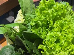 -大白羊蝎子馆(后沙峪山姆店)