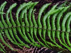 -重庆雨台山风景区