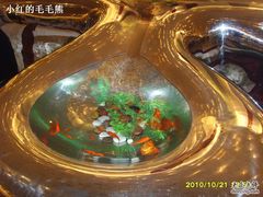 很有创意的小鱼池-北京亚奥国际酒店