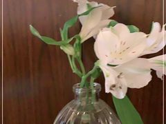 -Ginko银子(青龙街店)