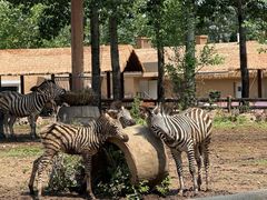 -大连森林动物园