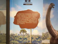 -浙江自然博物院(杭州馆)
