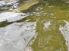 -太白山御龙湾温泉