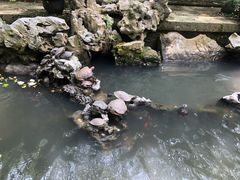 -普陀山风景名胜区-法雨禅寺