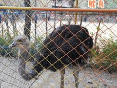 -济南马套将军山