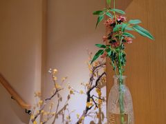 -梅间堂茶馆(绿地缤纷城店)