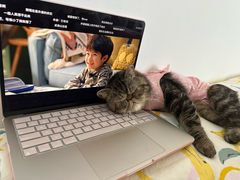-中农大我爱我爱动物医院·核磁CT·猫病·24小时夜诊中心(石佛营店)