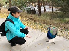 -北京麋鹿生态实验中心