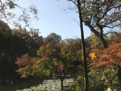 -灵谷景区