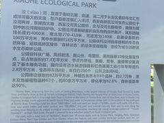 -洨河生态公园