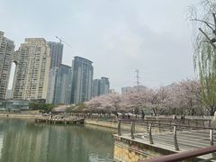 -西北湖绿化广场