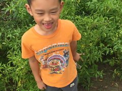 -田园东方蜜桃村的田野营地