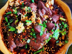 -小杨翘脚牛肉