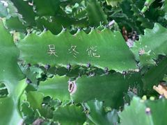 -呀诺达热带雨林