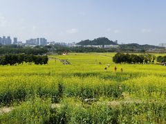 -光明小镇欢乐田园