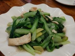 小白菜煎豆腐-老雒阳面馆·水席·洛阳菜(王城路店)