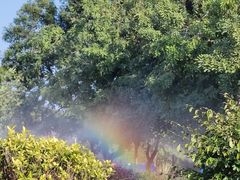 -风云岭森林公园