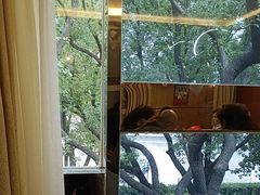 -意卡菲·欢乐聚会餐厅(华侨店)