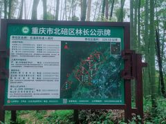 -缙云山景区