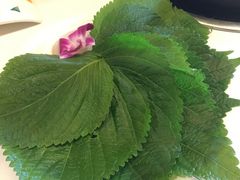 苏子叶-千纸鹤嫩汁烤肉(学府店)