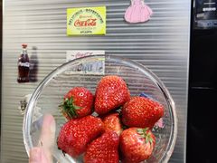 -菜园坝水果市场