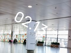 -上海浦东国际机场-T2航站楼